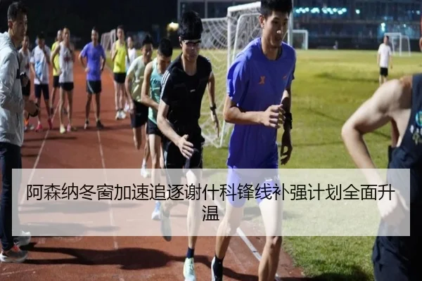 阿森纳冬窗加速追逐谢什科锋线补强计划全面升温 - 188bet